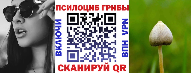 Псилоцибиновые грибы ЛСД Балей